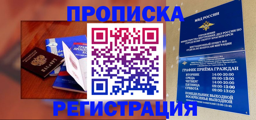 временная регистрация для школы в Сольцах